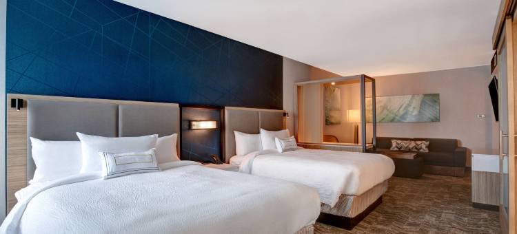 Marriott的SpringHill套房-奥伦茨堡(SpringHill Suites Orangeburg)图片