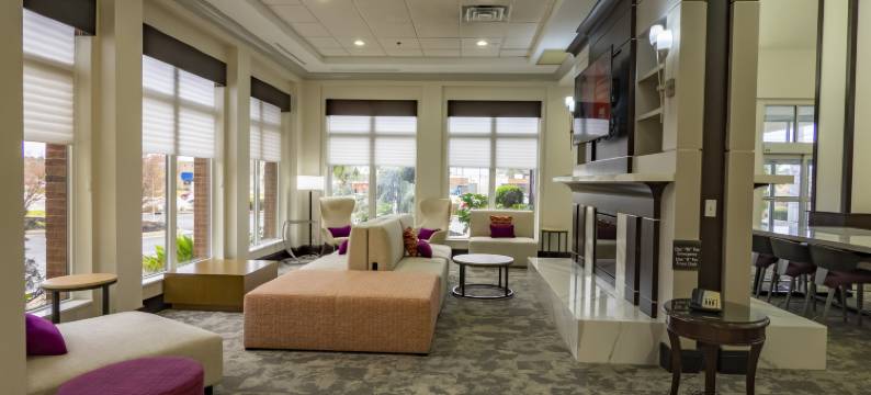 希尔顿花园酒店-亚特兰大南-麦克多诺(Hilton Garden Inn Atlanta South-McDonough)图片