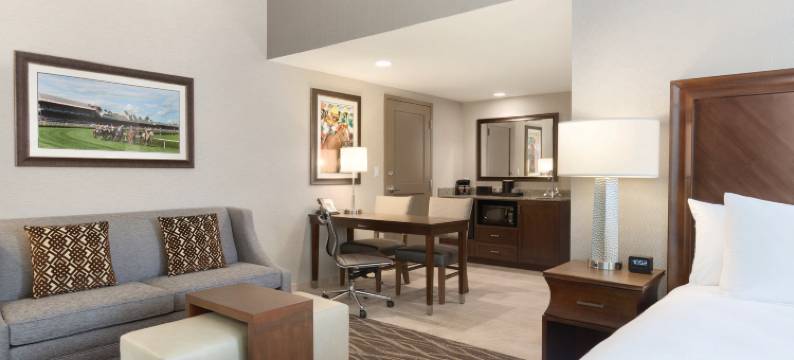 萨拉托加泉安泊套房酒店(Embassy Suites by Hilton Saratoga Springs)图片