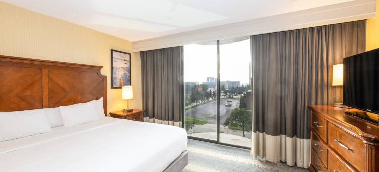 希尔顿安泊酒店-布卢明顿明尼阿波利斯(Embassy Suites by Hilton Bloomington/Minneapolis)图片