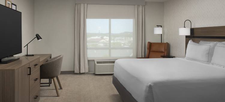 查塔诺加汉弥尔顿广场希尔顿逸林酒店及度假村(Doubletree by Hilton Chattanooga Hamilton Place)图片