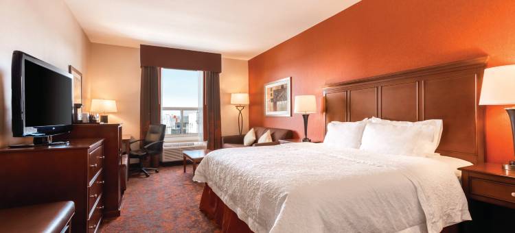 希尔顿欢朋酒店-南埃德蒙顿南部(Hampton Inn by Hilton Edmonton/South)图片