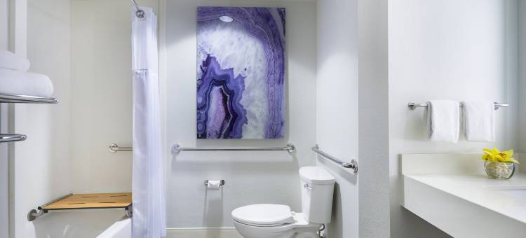 可爱岛威奴亚湾希尔顿花园酒店(Hilton Garden Inn Kauai Wailua Bay)图片