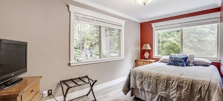 Peaceful, private 3BD home nestled in the redwoods图片