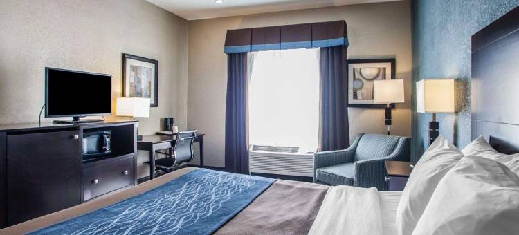 舒适酒店-利斯萨米特50号及291号高速公路(Comfort Inn Lees Summit - Hwy 50 & Hwy 291)图片