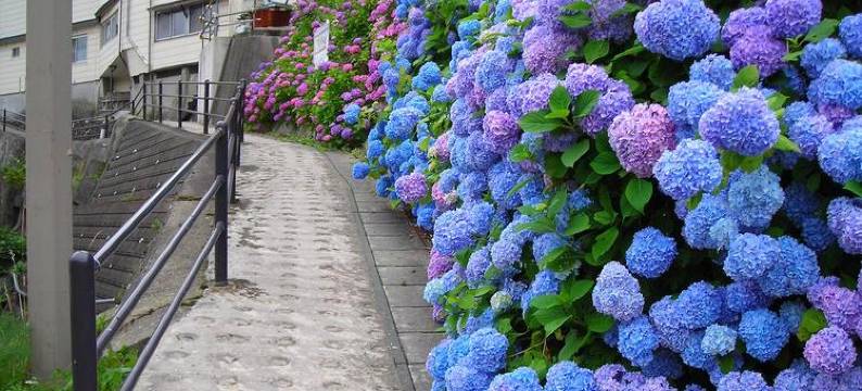 鸣子温泉乡 东多贺之汤(Higashigata No Yu)图片