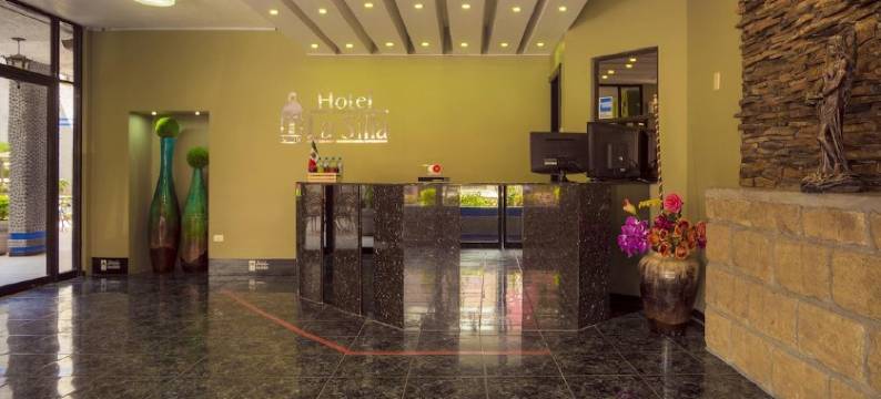 La Silla酒店(Hotel la Silla)图片