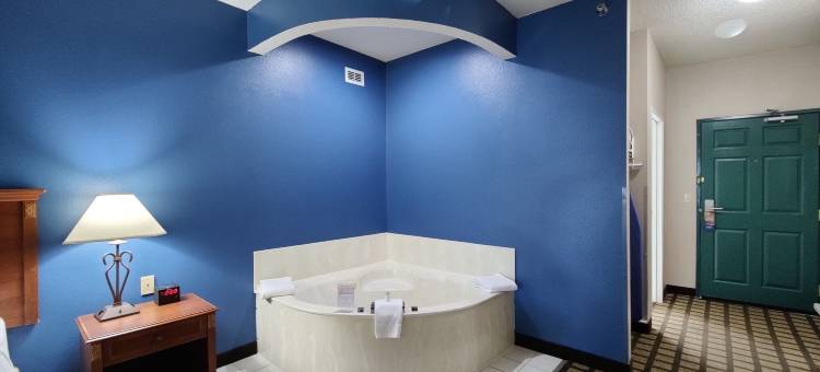 奥尔巴尼温德姆呗盟酒店(Baymont by Wyndham Albany)图片