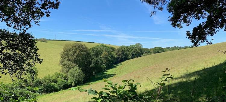 特格达尔住宿加早餐旅馆(Tregondale Manor Farm)图片