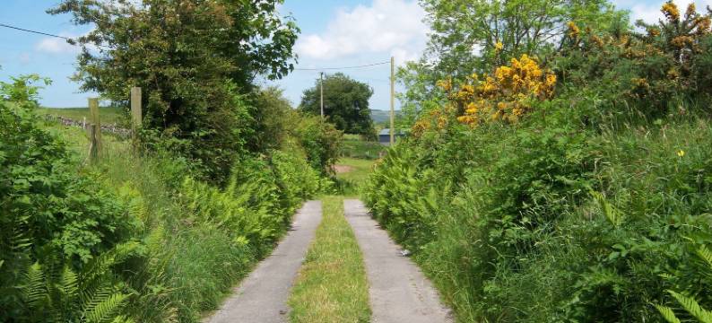 谷地旅馆(Valley Lodge Room Only Guest House)图片