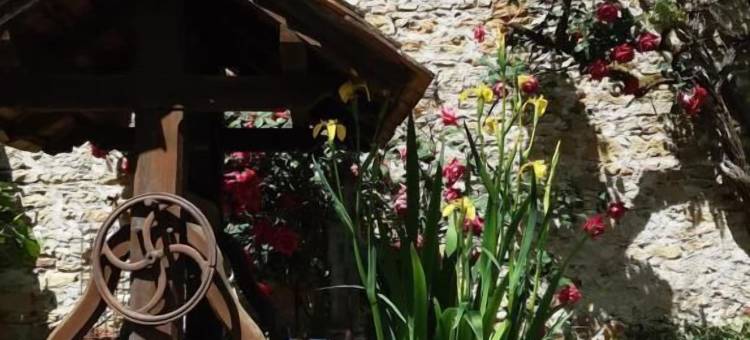 克洛斯德拉萨拉曼蒂拉宾馆(Le Clos de la Salamandre)图片