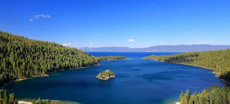 银树庇护所，在白杨树林中(Silver Tree Sanctuary in Aspen Grove!)图片