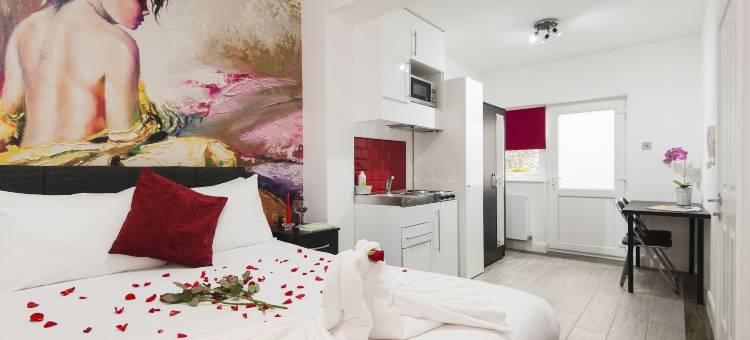 温布利公园酒店(Wembley Park Hotel)图片