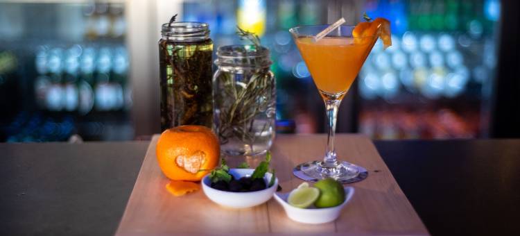 海得拉巴 KCP 美居酒店(Mercure Hyderabad KCP)图片