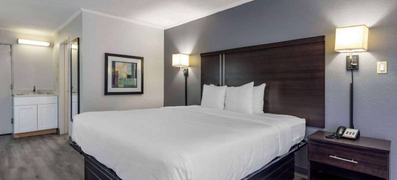 东北 I-77 郊区开间(Suburban Studios Rock Hill Northeast I-77)图片