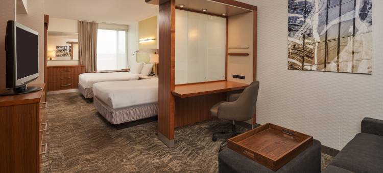 费城机场／雷德利帕克万豪SpringHill酒店(SpringHill Suites Philadelphia Airport/Ridley Park)图片