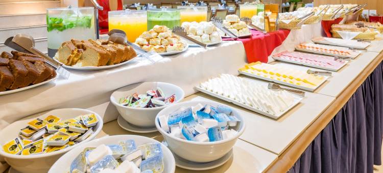 大西洋商务中心酒店(Hotel Atlântico Business Centro)图片