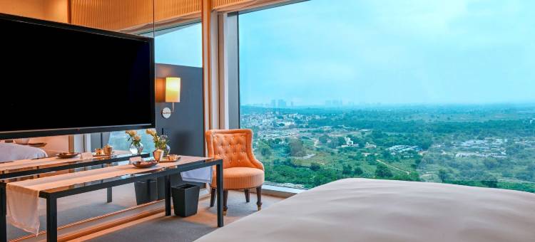 古尔冈君悦度假酒店(Grand Hyatt Gurgaon)图片