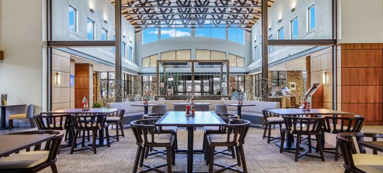 底特律都会机场希尔顿安泊酒店(Embassy Suites by Hilton Detroit Metro Airport)图片