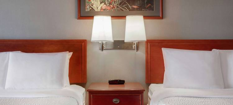 怀特考特温德姆戴斯酒店(Days Inn by Wyndham Whitecourt)图片