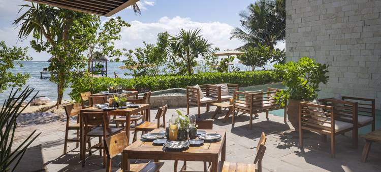 阿莱阿图兰酒店(Alea Tulum)图片