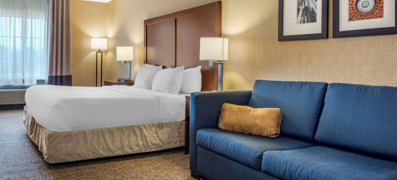 梅多兰兹舒适酒店(Comfort Inn Meadowlands)图片