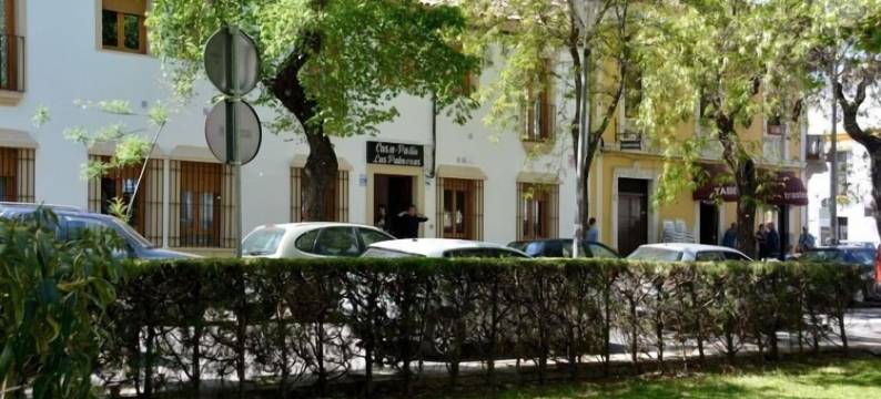 卡萨帕蒂奥拉斯帕尔梅拉斯(casapatiolaspalmeras)图片