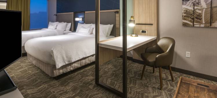 菲什基尔SpringHill Suites酒店(SpringHill Suites Fishkill)图片