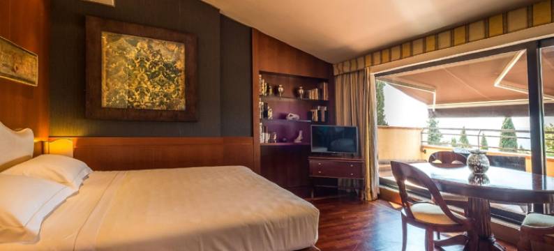 亚西西大酒店(BV Grand Hotel Assisi)图片