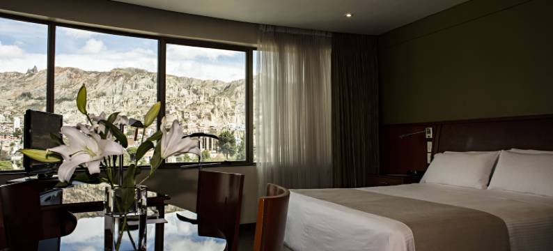 卡米诺瑞尔套房酒店(Suites Camino Real)图片