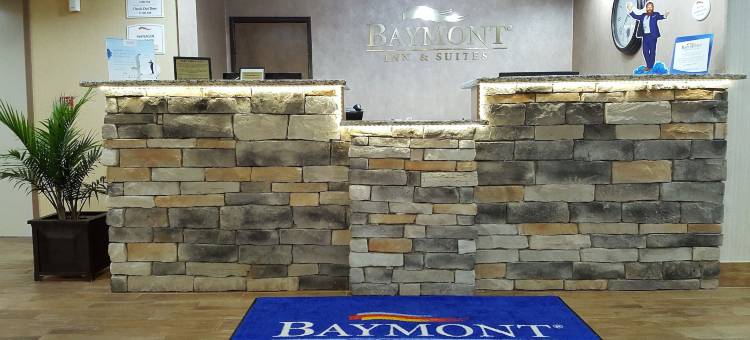 贝尔维尔机场区呗盟套房酒店(Baymont by Wyndham Belleville Airport Area)图片