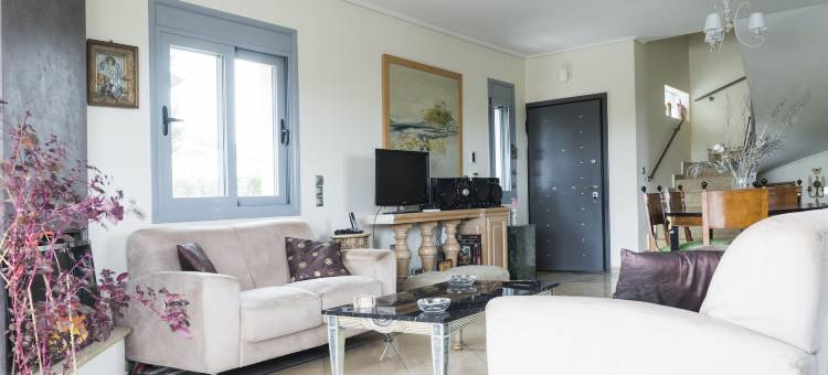 爱琳别墅(Villa d'Irene-Near Athens Airport , 200 Meters from the Beach Davis)图片