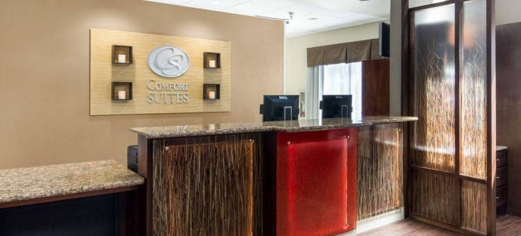 舒适套房酒店(Comfort Suites)图片