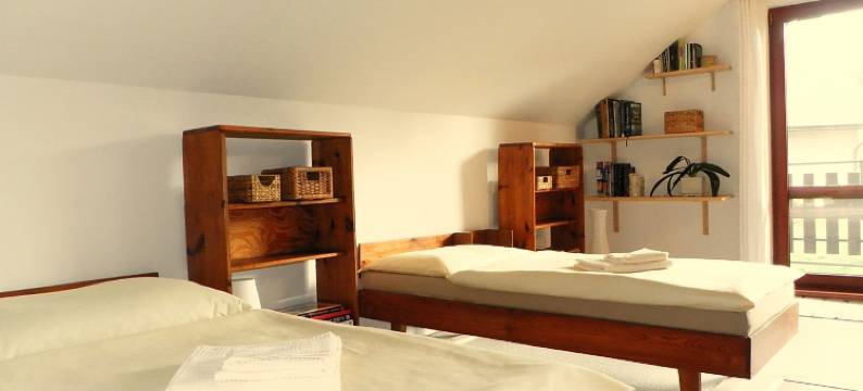 博尔住宿加早餐旅馆(Penzion Bor)图片