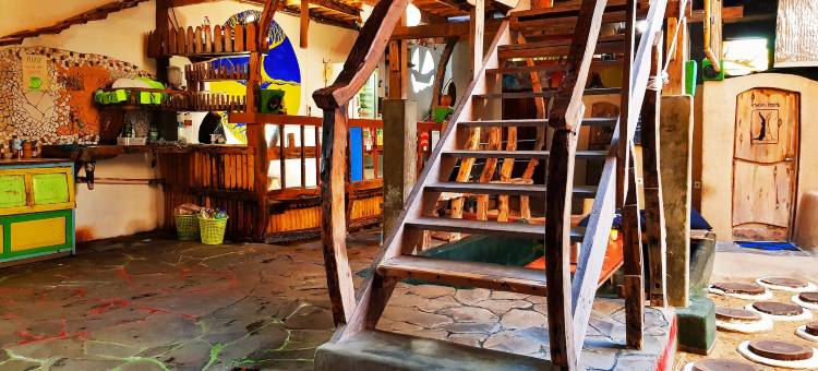 小兔子树旅舍(The Rabbit Tree Hostel)图片