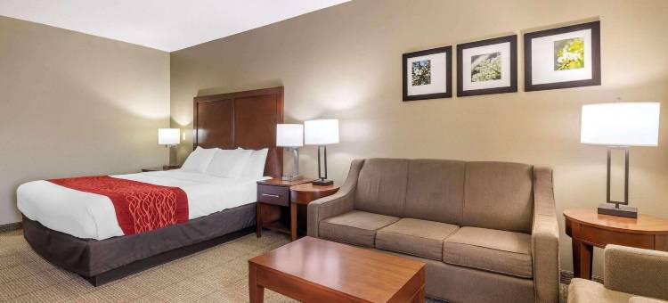 粮谷舒适酒店-堪萨斯城(Comfort Inn Grain Valley - Kansas City)图片