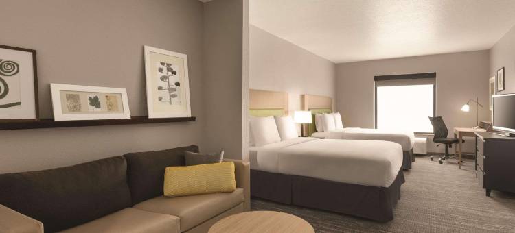 丽笙乡村套房酒店-RJ体育场-坦帕机场东(Country Inn & Suites by Radisson, Tampa Airport East-RJ Stadium)图片