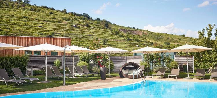 克雷姆斯水疗中心施柏阁酒店(Steigenberger Hotel and Spa, Krems)图片