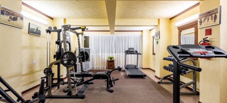 托卢卡温德姆豪生酒店(Howard Johnson by Wyndham Toluca)图片