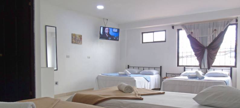 金塔路酒店(Hotel Quinta Avenida)图片