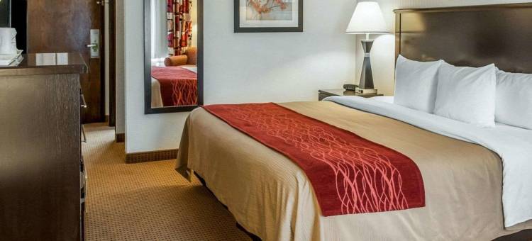 法明顿凯艺套房酒店(Quality Inn & Suites Farmington)图片