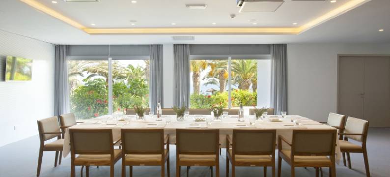 阿里恩海滩酒店(Alion Beach Hotel)图片