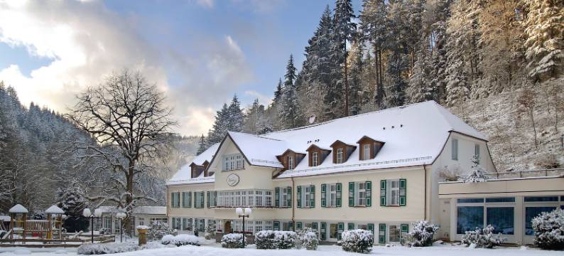 贝得苏博万酒店(Waldhotel Bad Sulzburg)图片