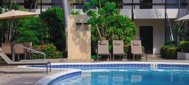 埃尔多拉多酒店(El Dorado)图片