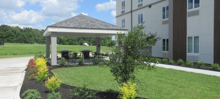 盖斯马-冈萨雷斯美茵斯坦套房酒店(MainStay Suites Geismar - Gonzales)图片