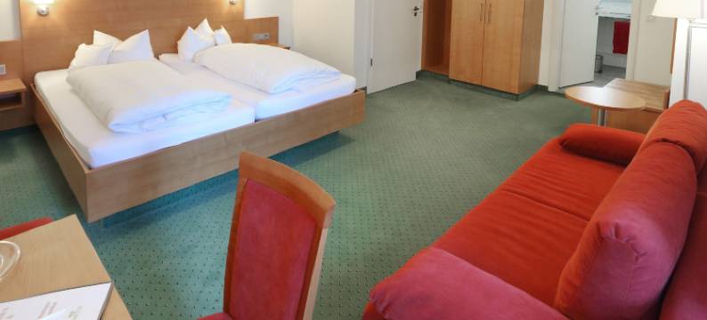 罗特欧森餐厅酒店(Hotel-Restaurant Roter Ochsen)图片