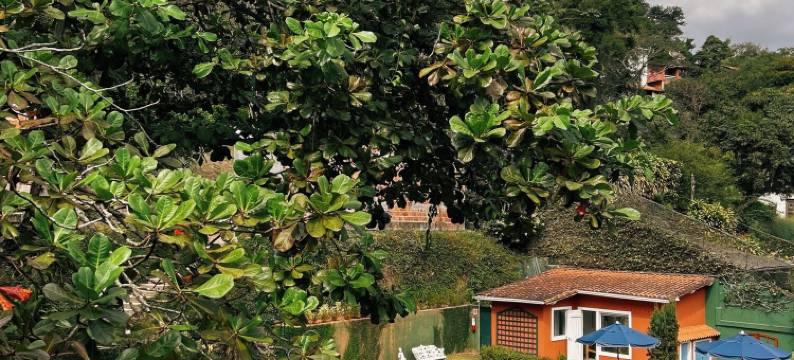 拉贝尔普罗旺斯酒店(La Belle Provence)图片