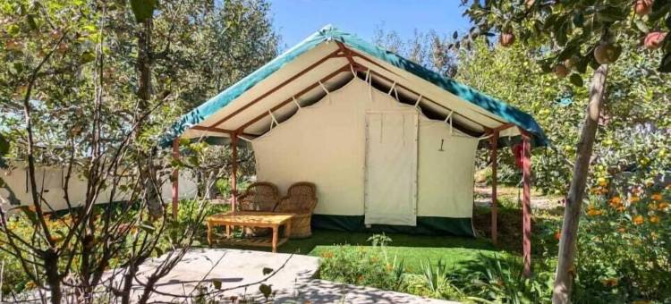苹果果园农场和露营地(Apple Orchard Farm and Camping)图片