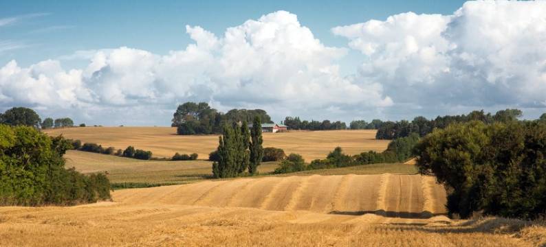 Fem酒店2022年(Femø Kro Anno2022)图片