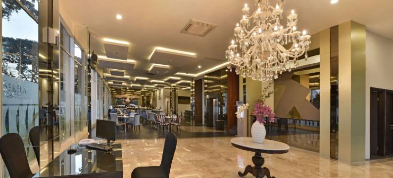 瑟雷拉酒店-奇哈佩拉斯(Serela Cihampelas by Kagum Hotels)图片